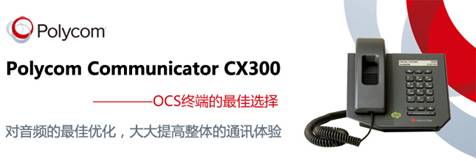 Polycom CX300 桌面电话